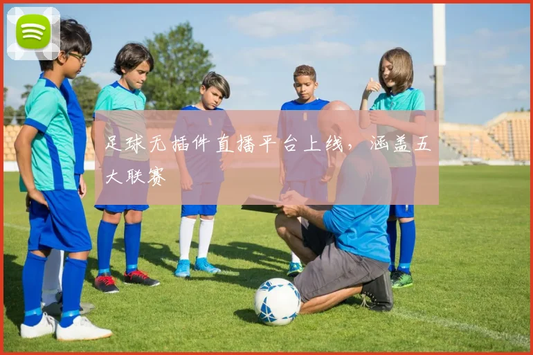 足球无插件直播平台上线，涵盖五大联赛